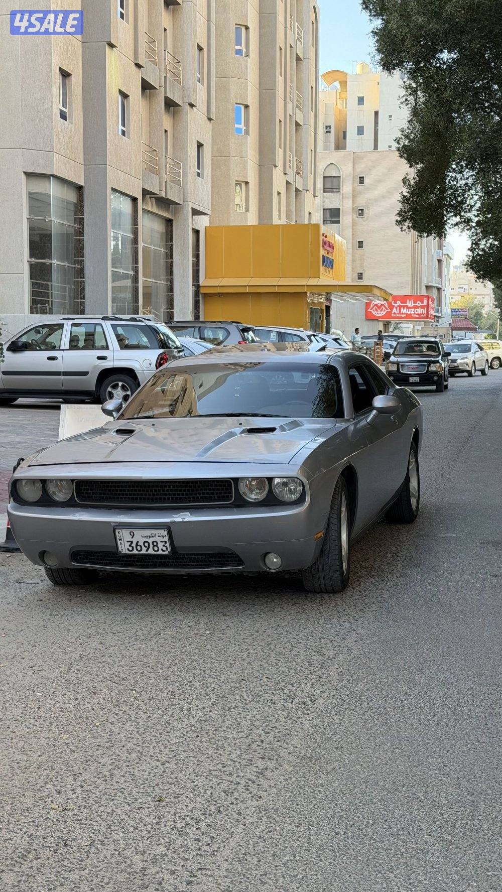 2013. الفل 6 سلندر3