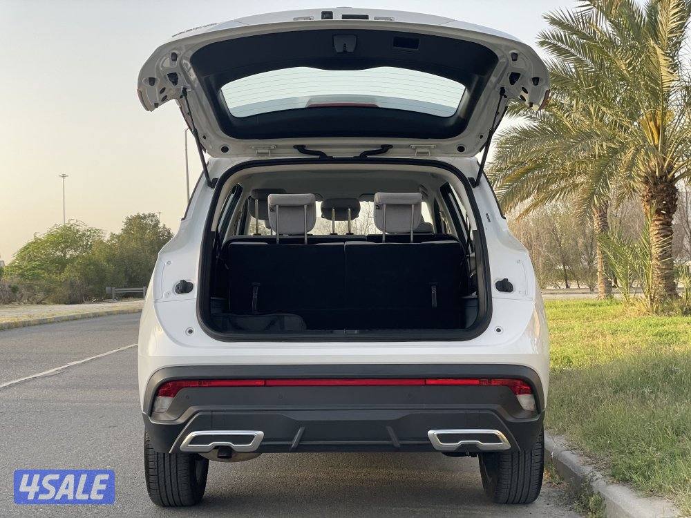 كابتيفا صبغ الوكاله8