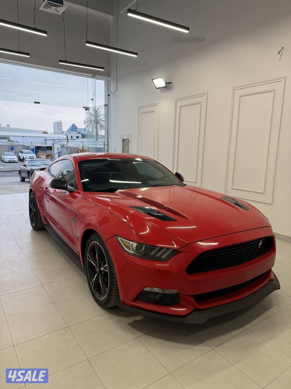 موستنق5.0 /20161