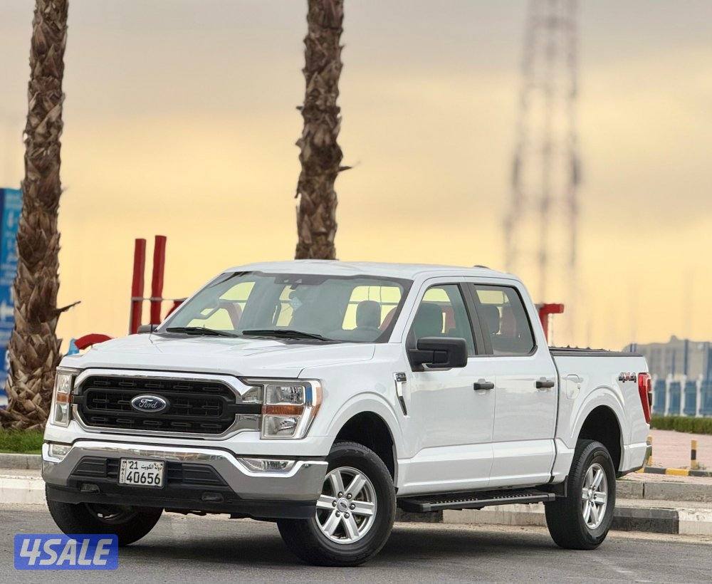 وانيت فورد صبغ الوكاله 20210