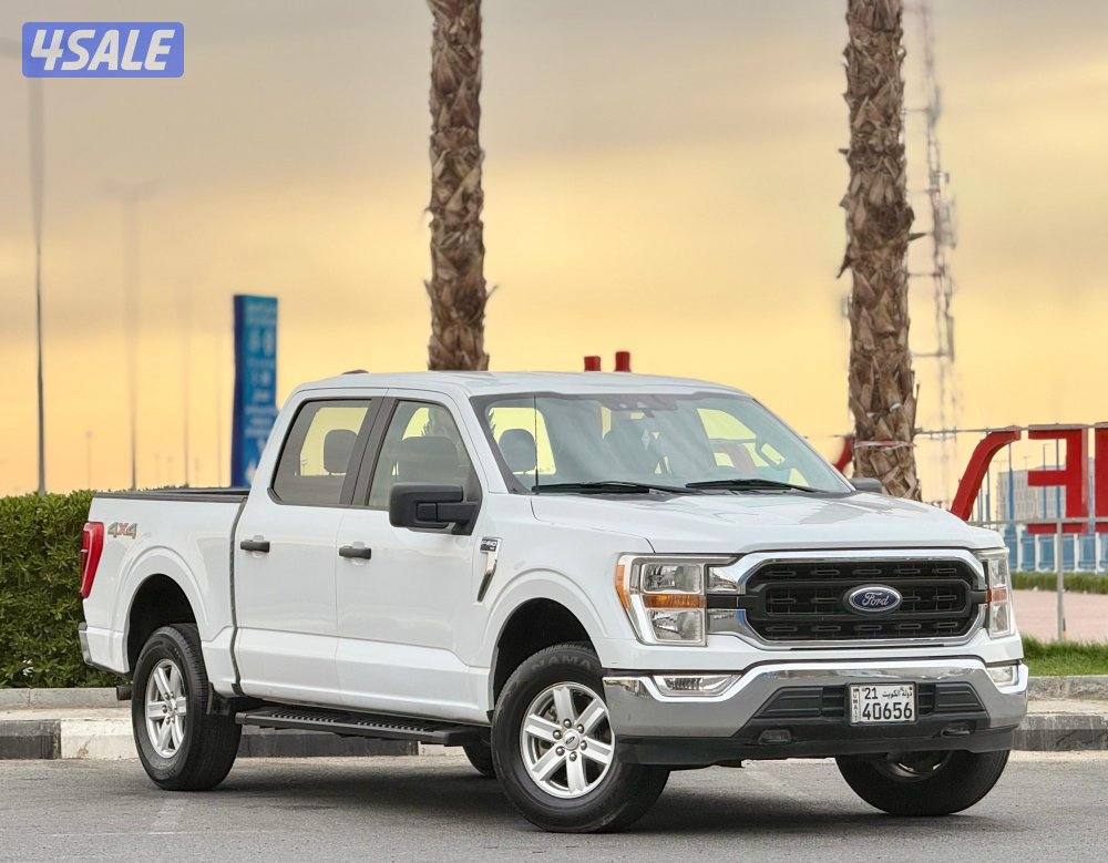 وانيت فورد صبغ الوكاله 20211