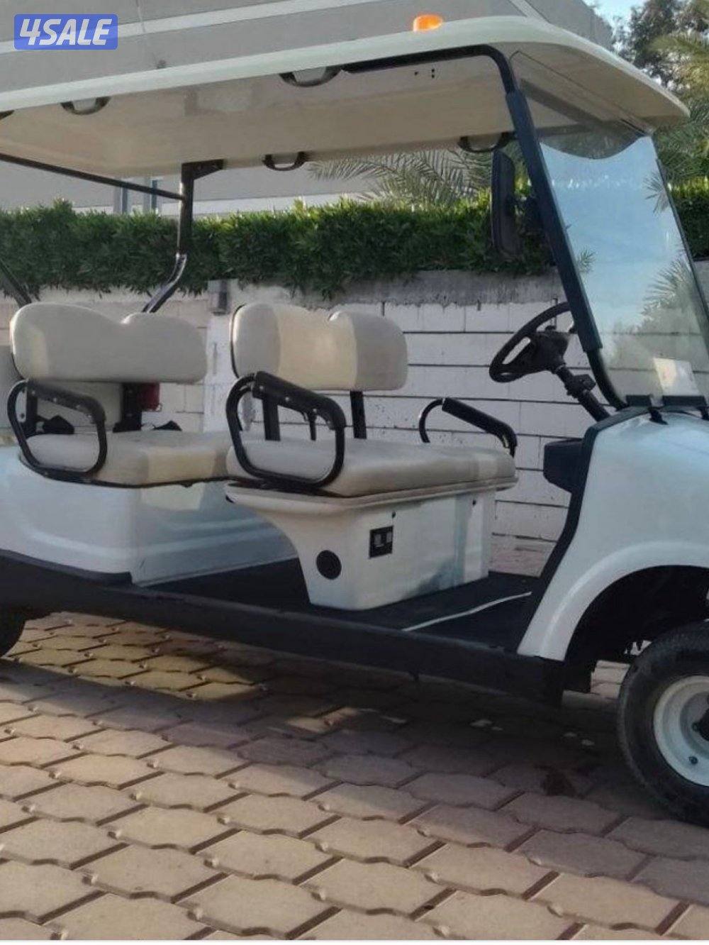 الحمدي كبد1