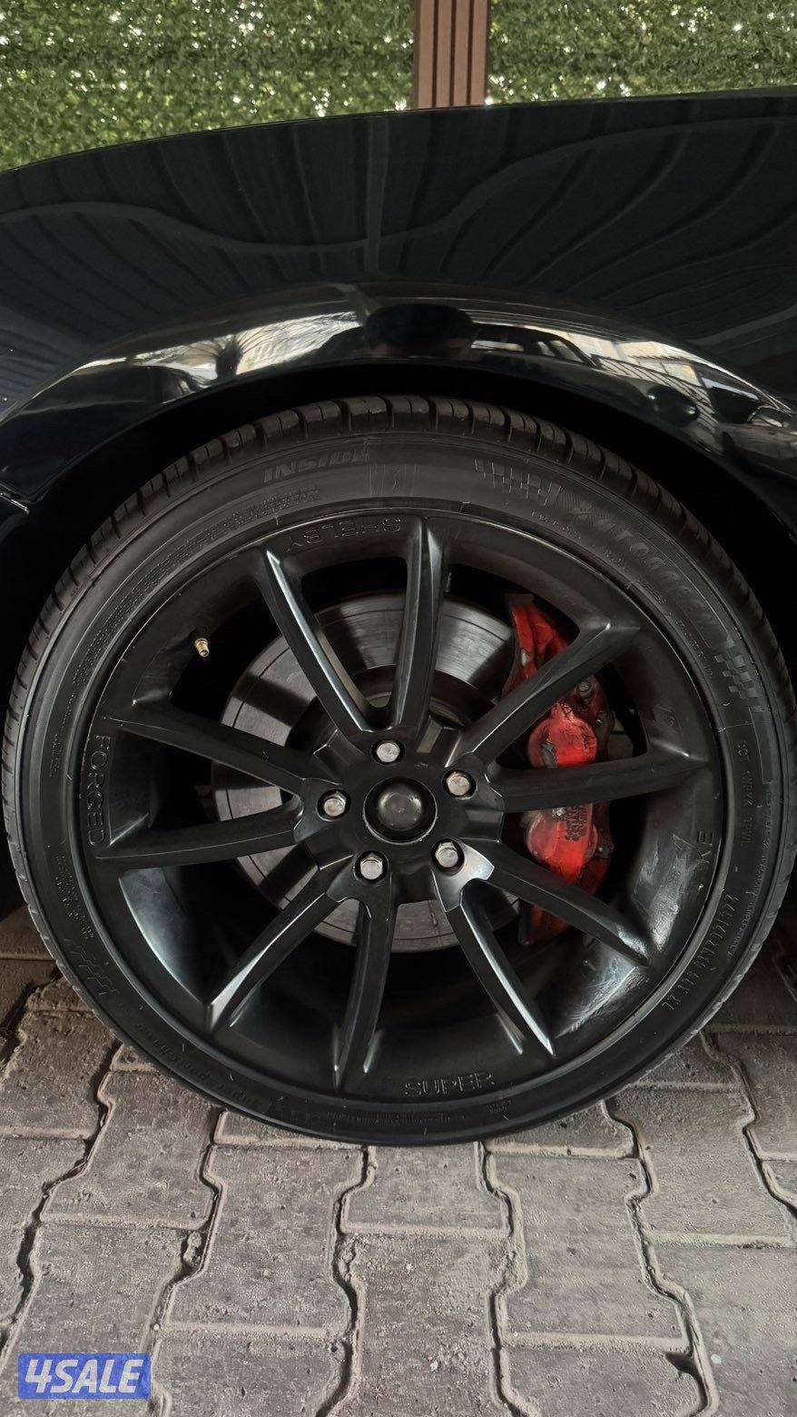 شوته ورنقات و ولدات مع توايرهم و جهاز عيار اغراض موستنق ٢٠١٨1