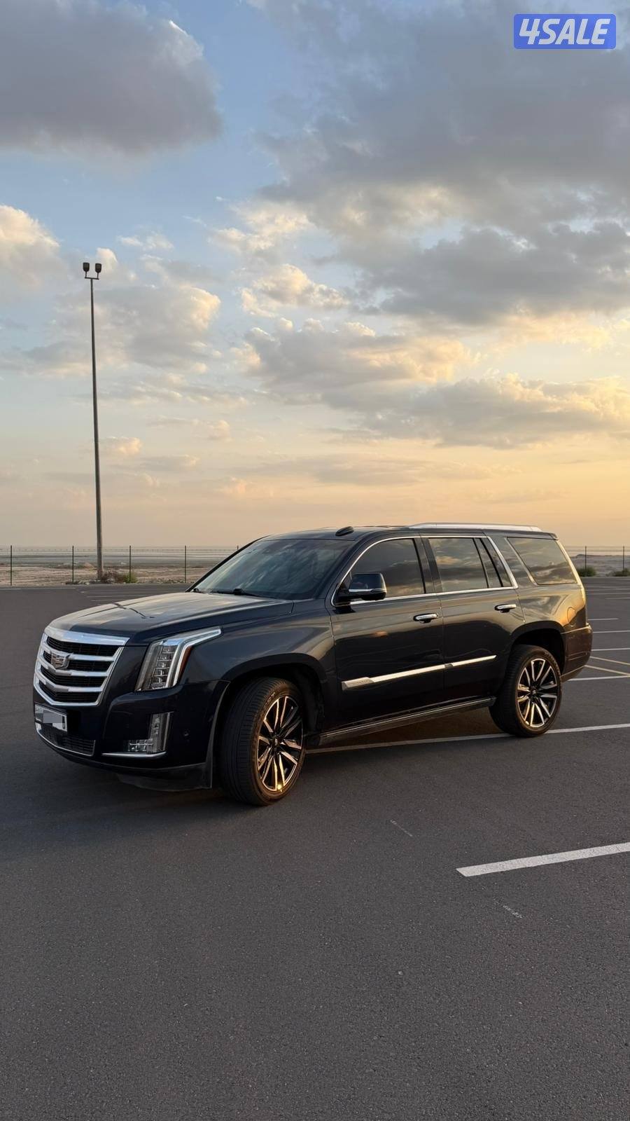 للبيع اسكلد موديل 20173