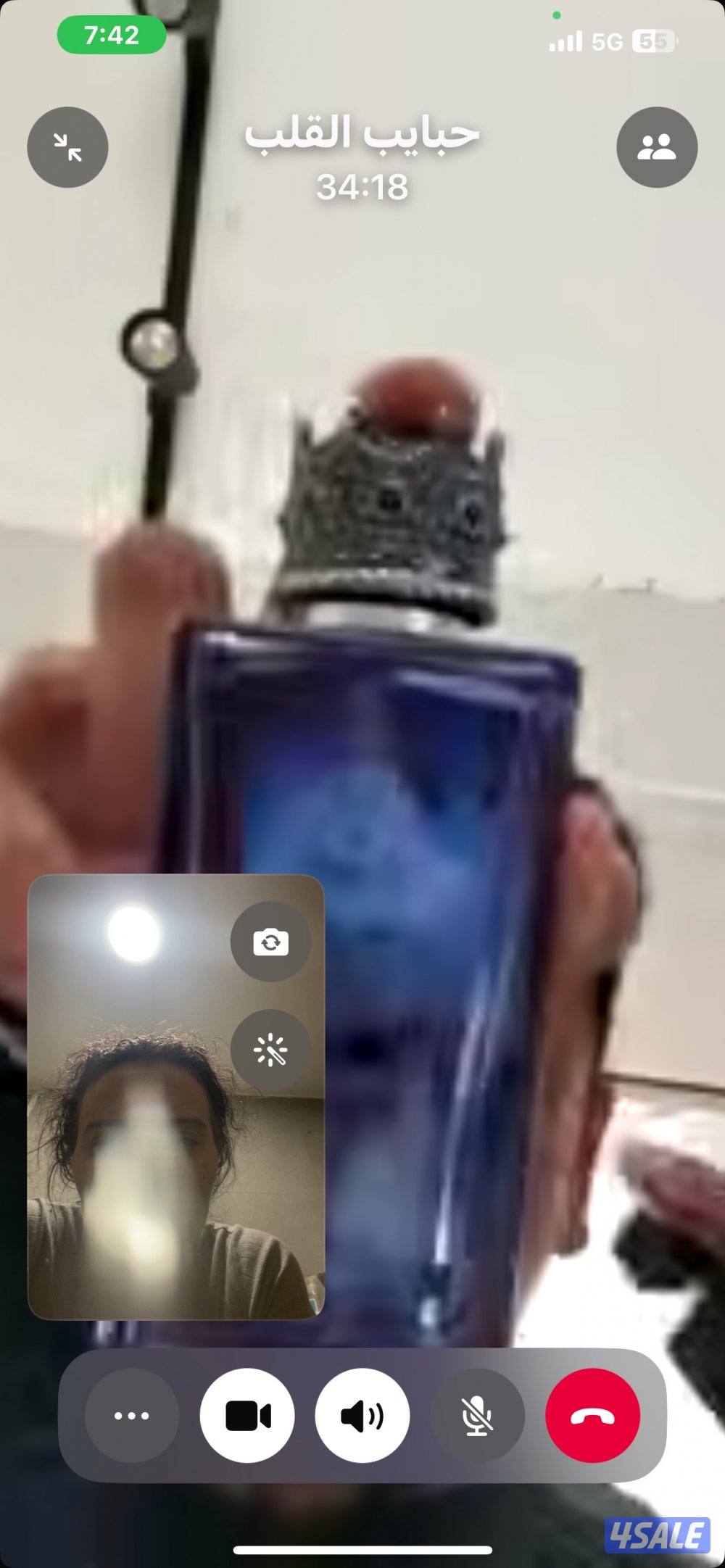 للبيع ذكربيرشن مسجل بيكي فيس مستوي عالي وبنته مكس بينه وبين سكوتش فولد6