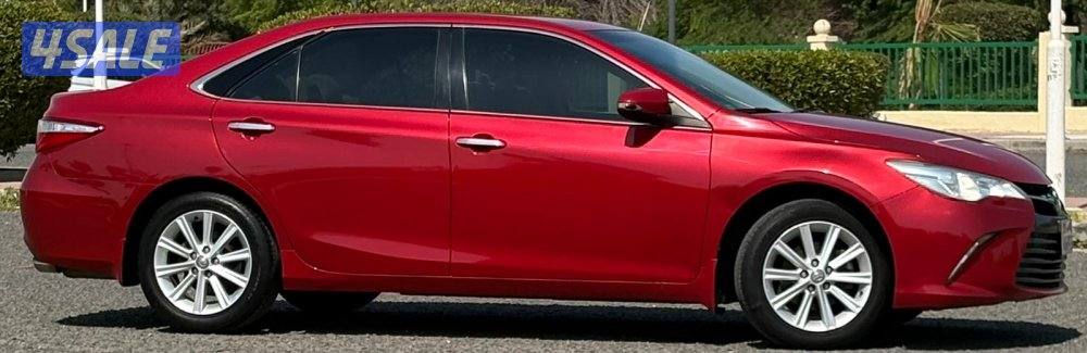 يوجد فحص مع الصور1