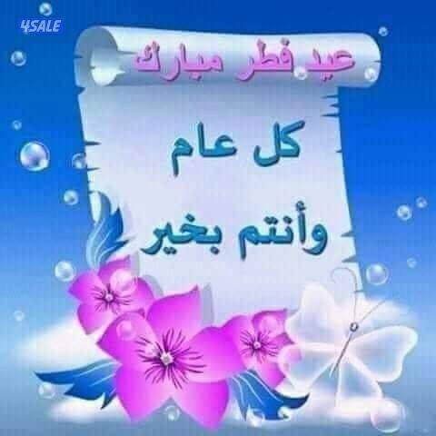 نشتري الأثاث المنزلي والاجهزه الكهربائية0