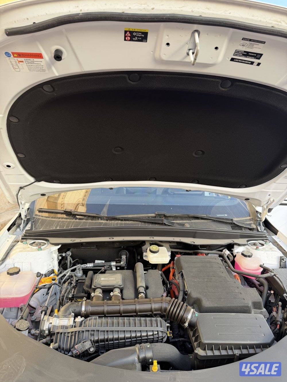 Qin plus اصغر حجم8