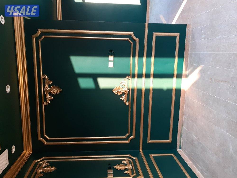 صباغ جبسم وبود باکستانی1