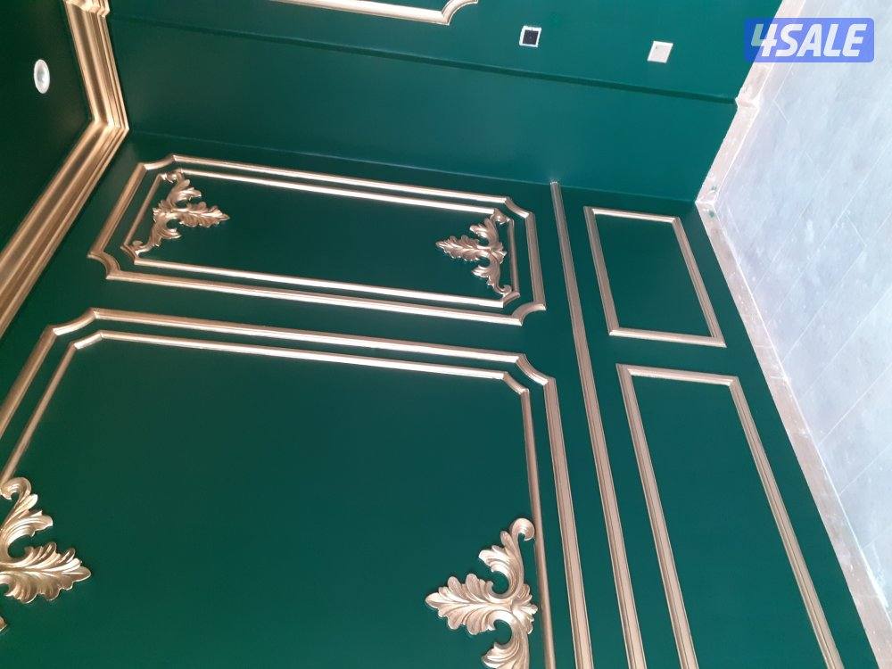 صباغ جبسم وبود باکستانی3