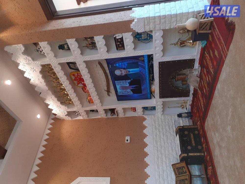 صباغ جبسم وبود باکستانی4