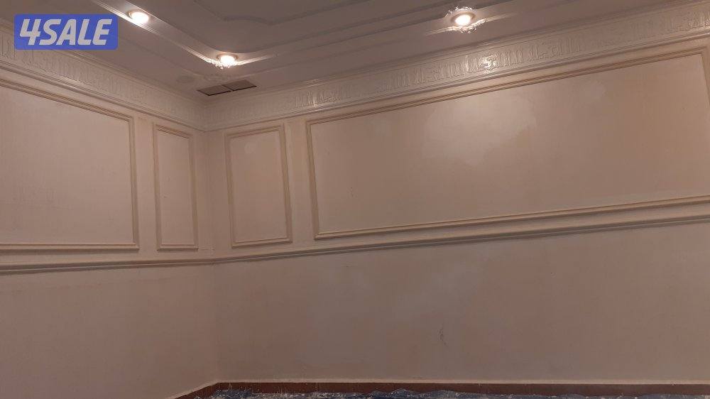 صباغ جبسم وبود باکستانی7