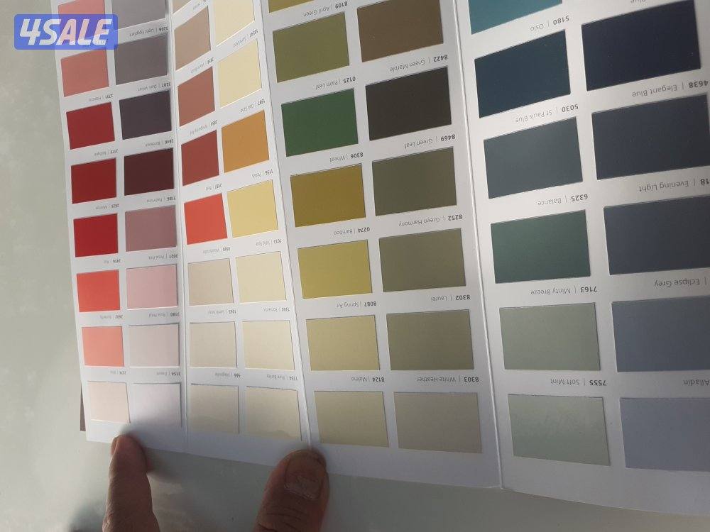 صباغ جبسم وبود باکستانی8