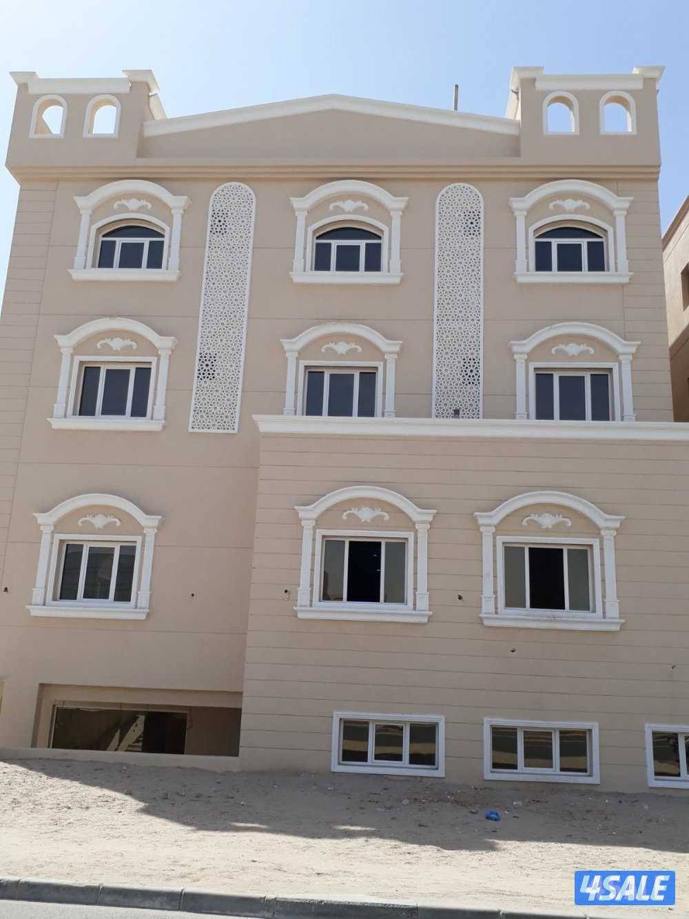 صباغ جبسم وبود باکستانی11