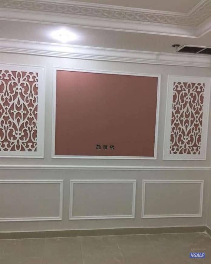 صباغ جبسم وبود باکستانی13