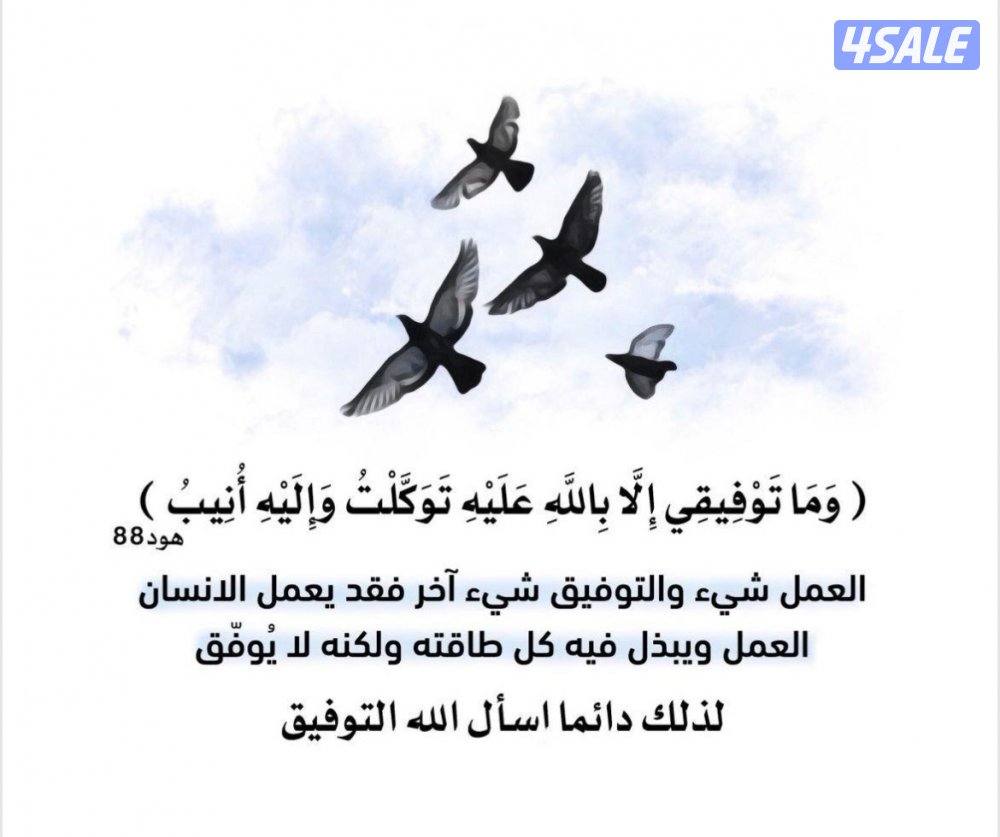 مطلوب موظف متابع للافلام والمسلسلات0