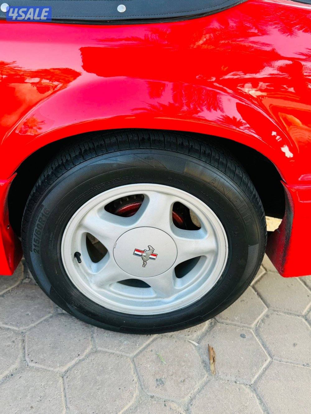 سيرفس حديث كامل12