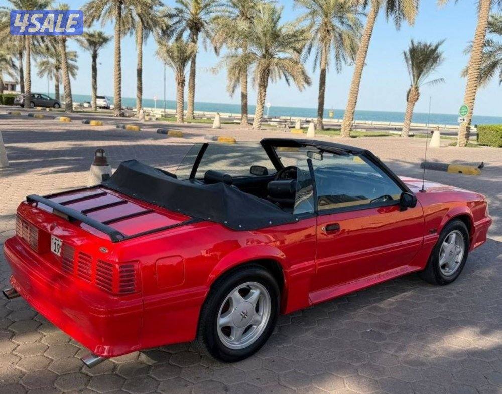 سيرفس حديث كامل2