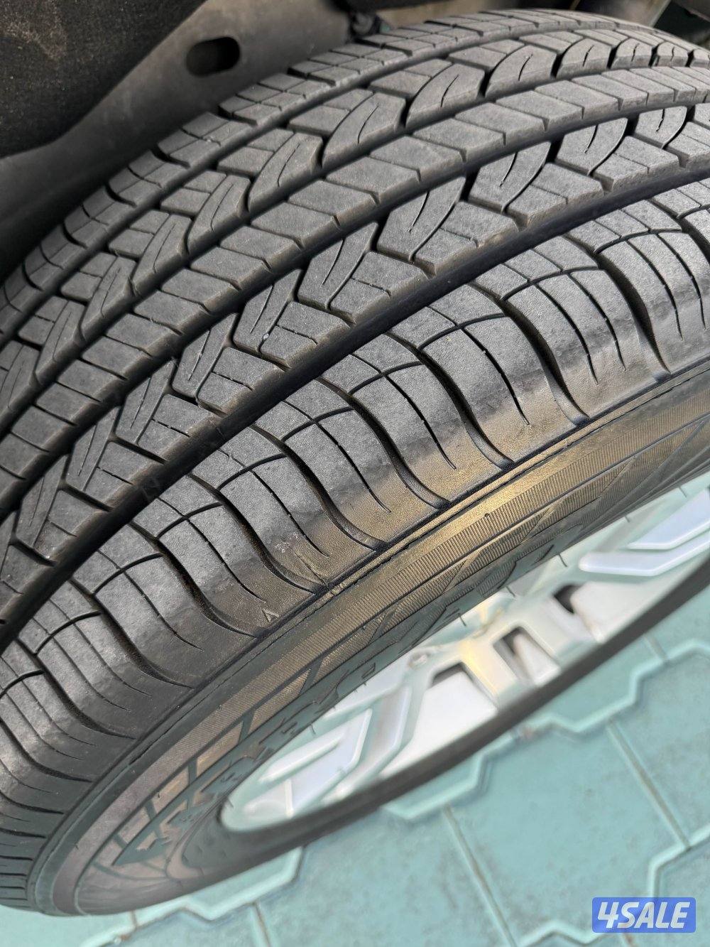 صباح الناصر2