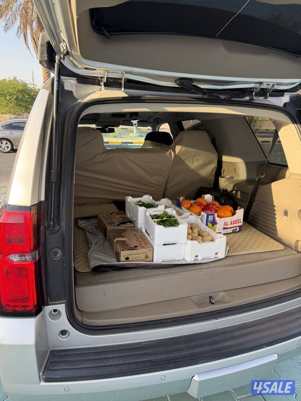 صباح الناصر8