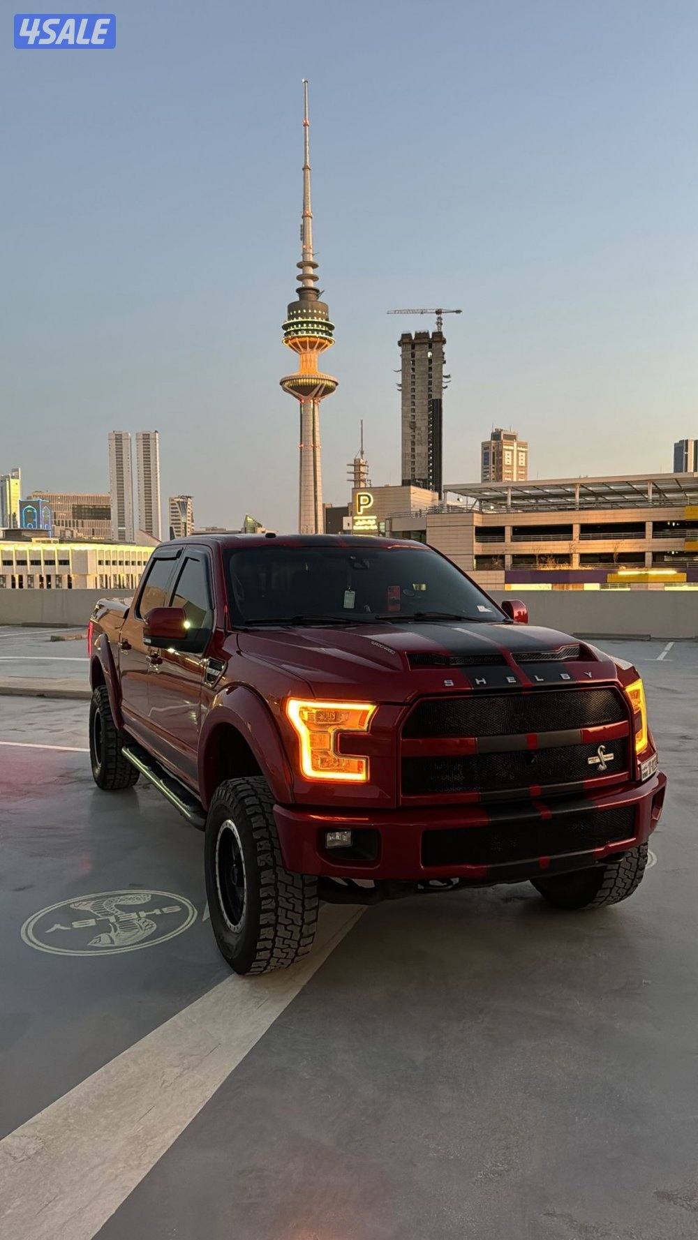 وانيت شلبي سوبر سنيك0