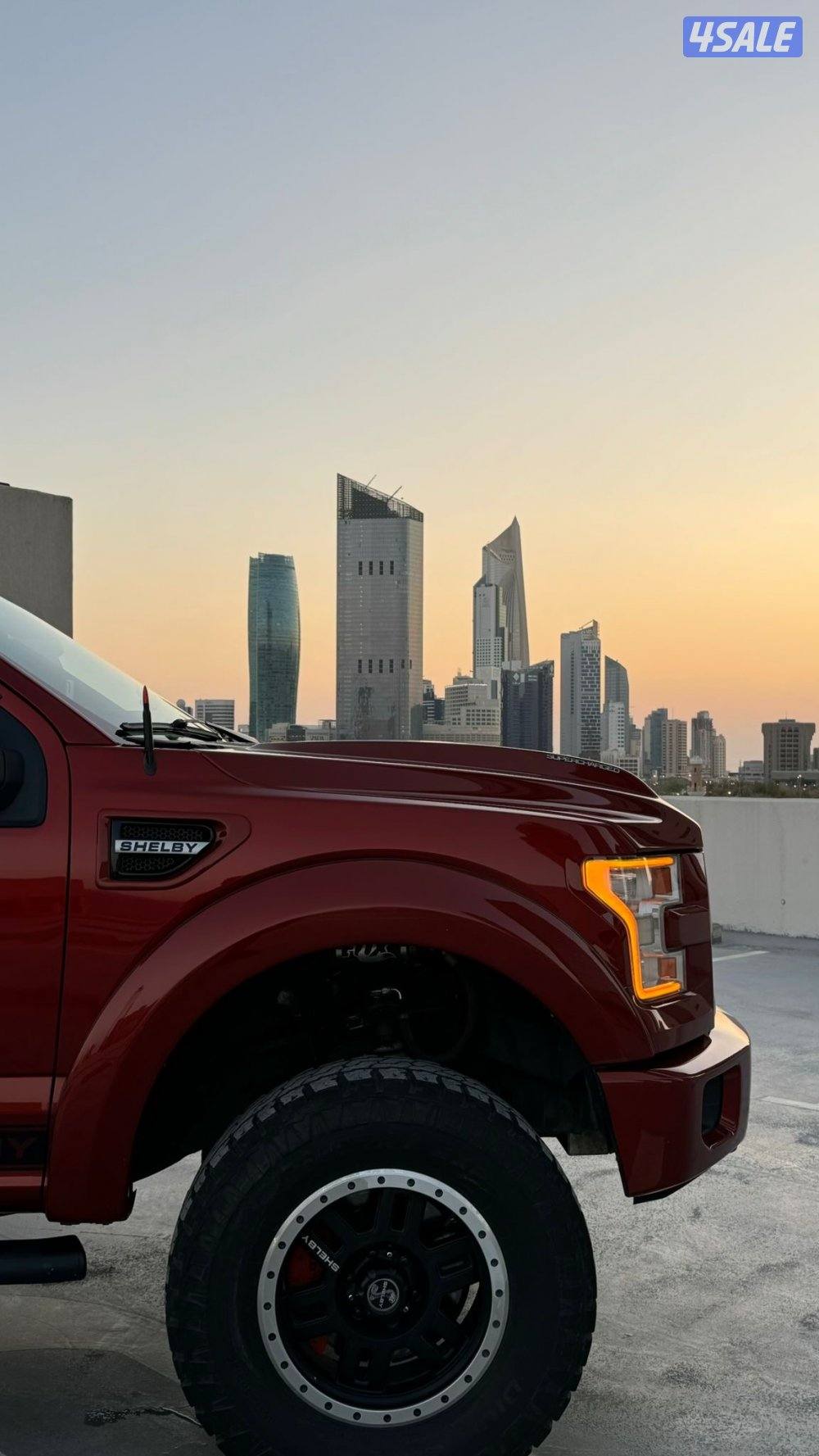 وانيت شلبي سوبر سنيك5