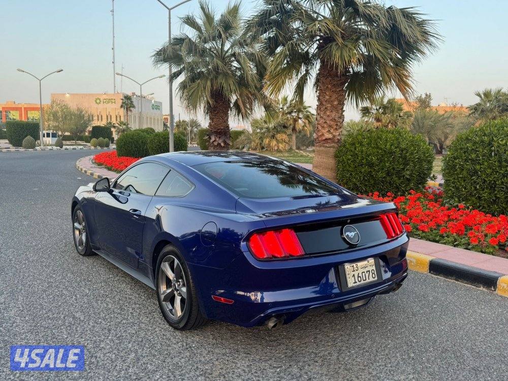 🛑 بحالة الوكالة 🛑1