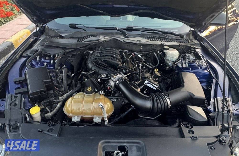 🛑 بحالة الوكالة 🛑5