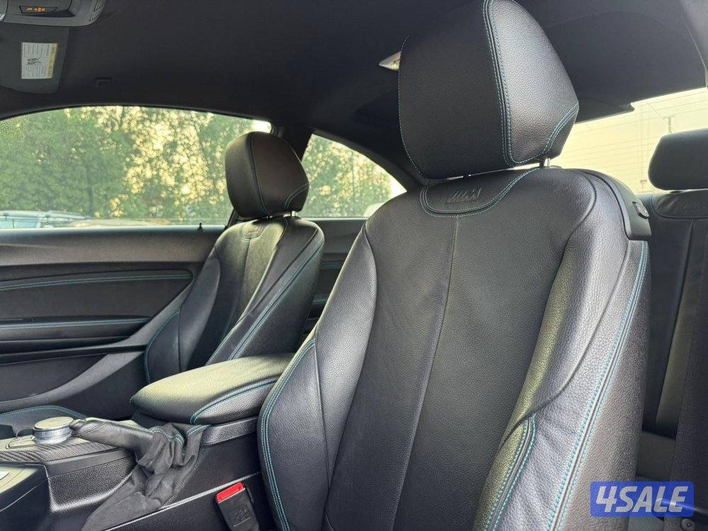 BMW M2 _2017 صبغ الوكالة8