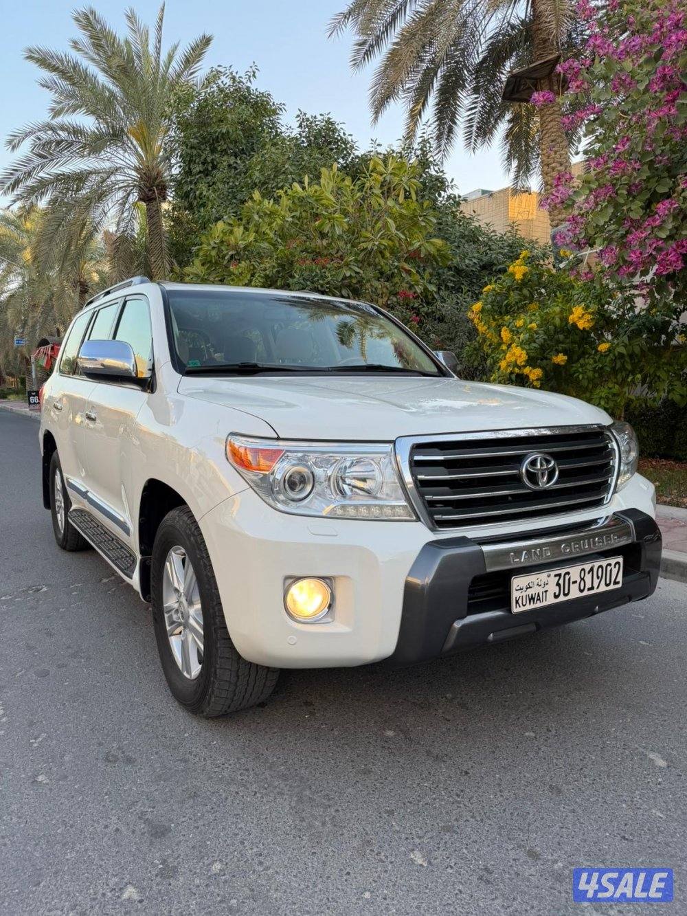 صبغ الوكاله ماشي 1941