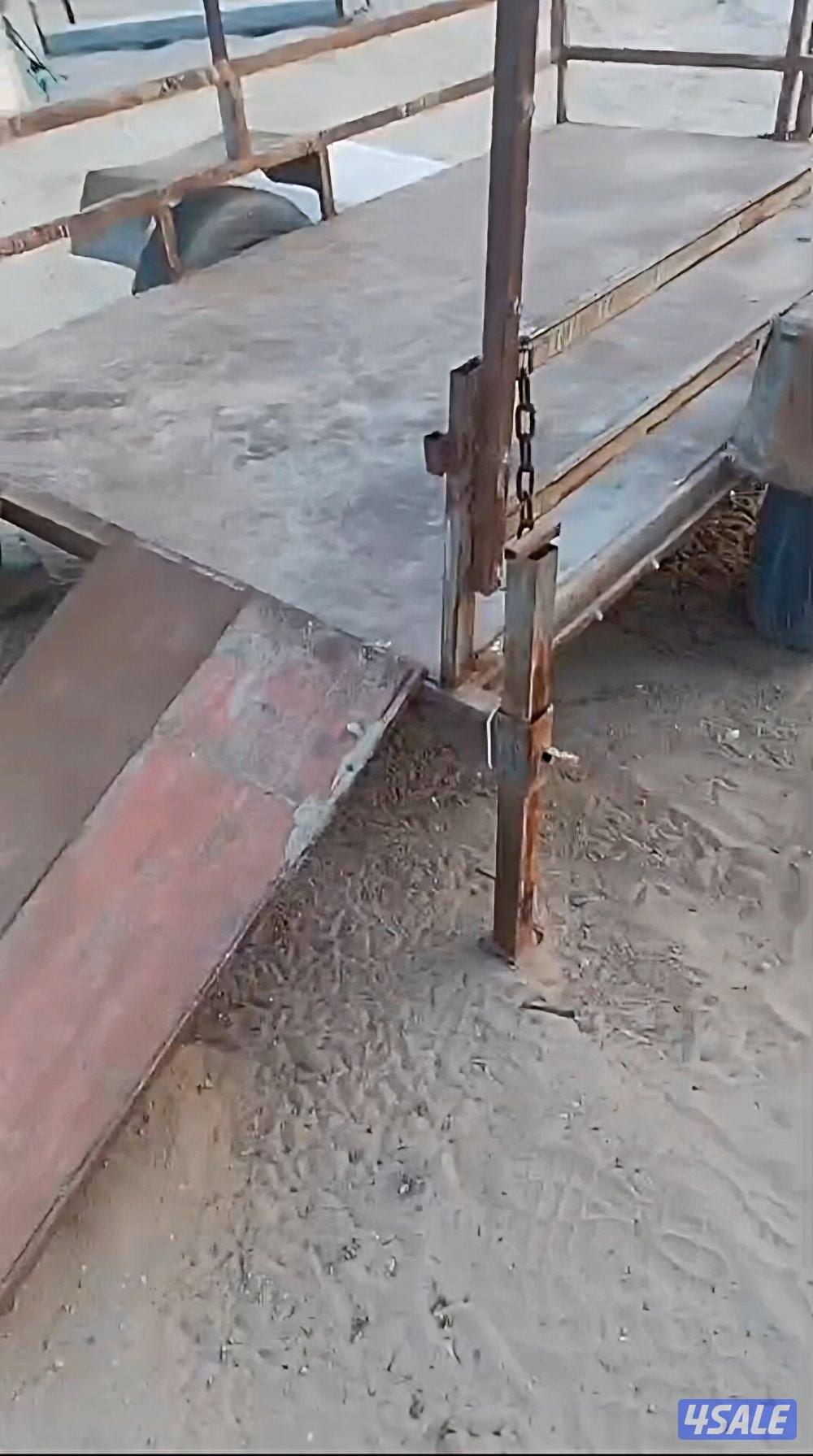 عربانة قلص2