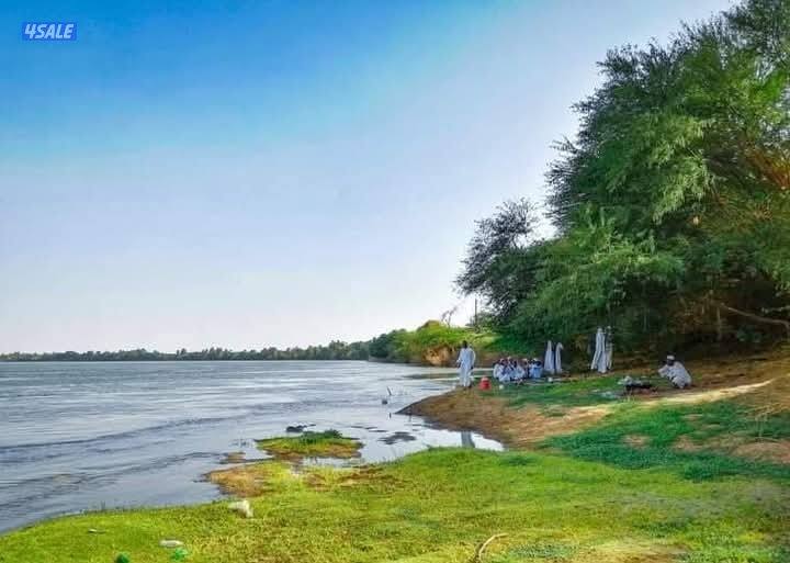 عامل مخزن سوداني مشاريع صغيره0