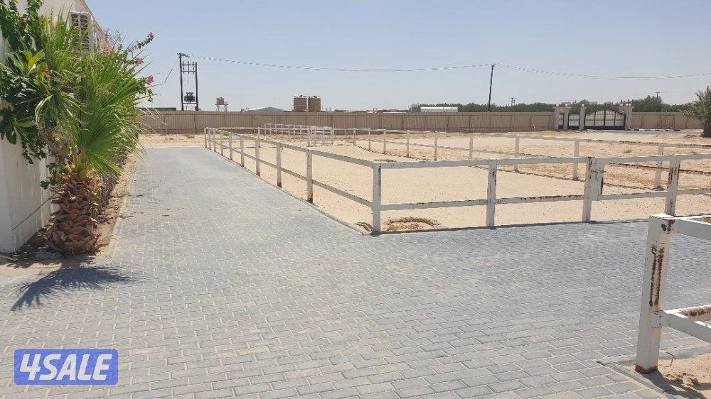 مربط خيل بالوفره بداية ش٥٠٠4