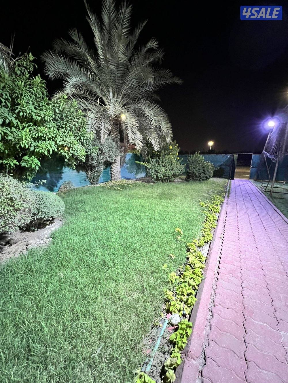 للبيع موقع شيخ بسعد قطعه 11 رواق منطقه 👌0