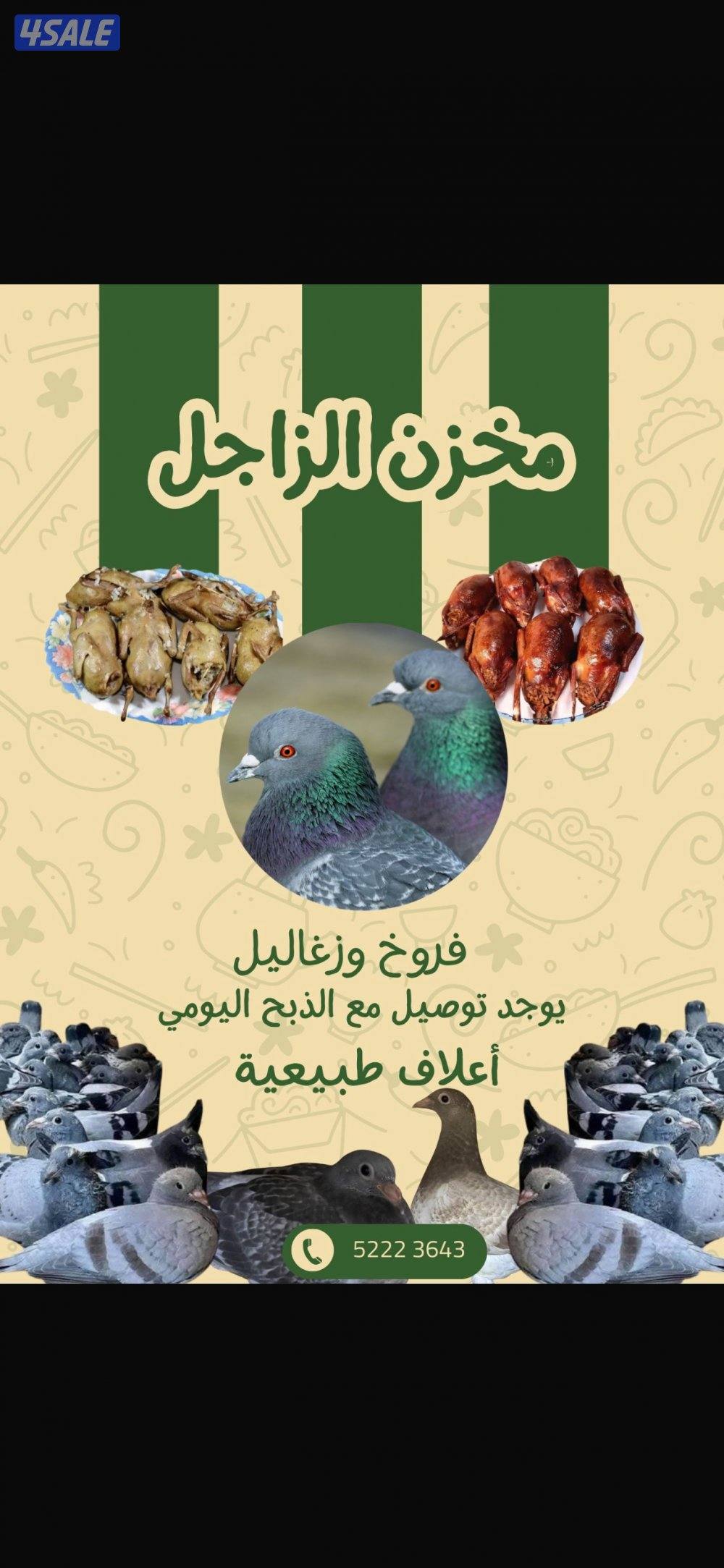 زغاليل زاجل0