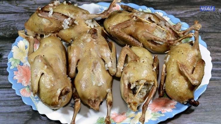 زغاليل زاجل1