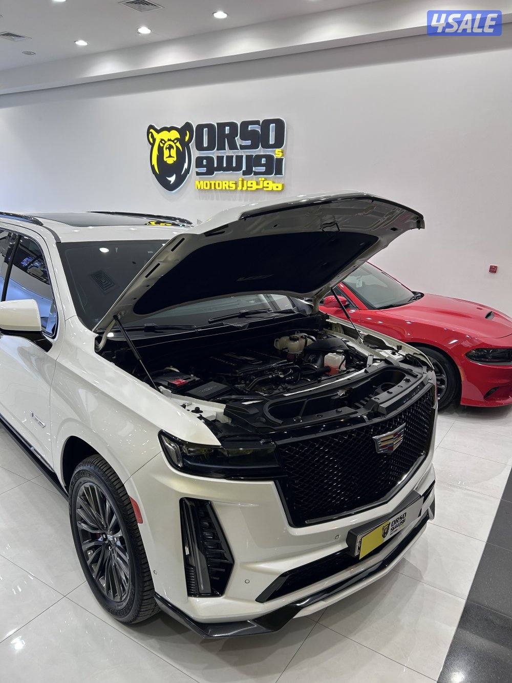 اسكلايد V ٢٠٢٣ ماشي ٥٦ الف8