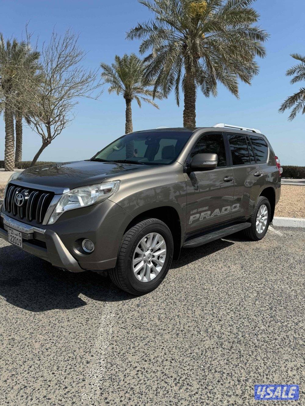 برادوا ٢٠١٧ ماشي 552