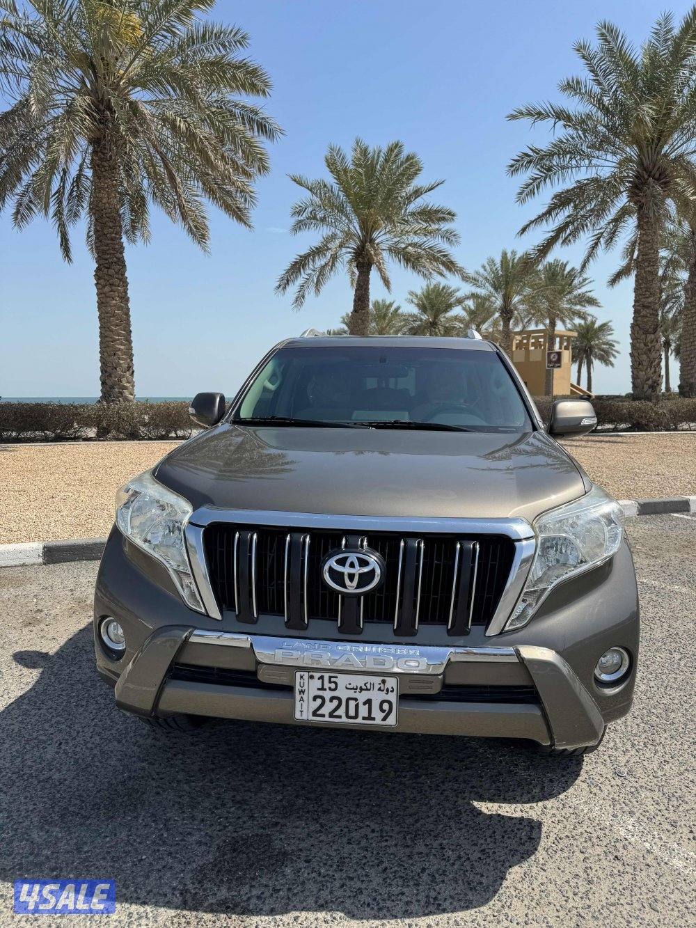 برادوا ٢٠١٧ ماشي 553