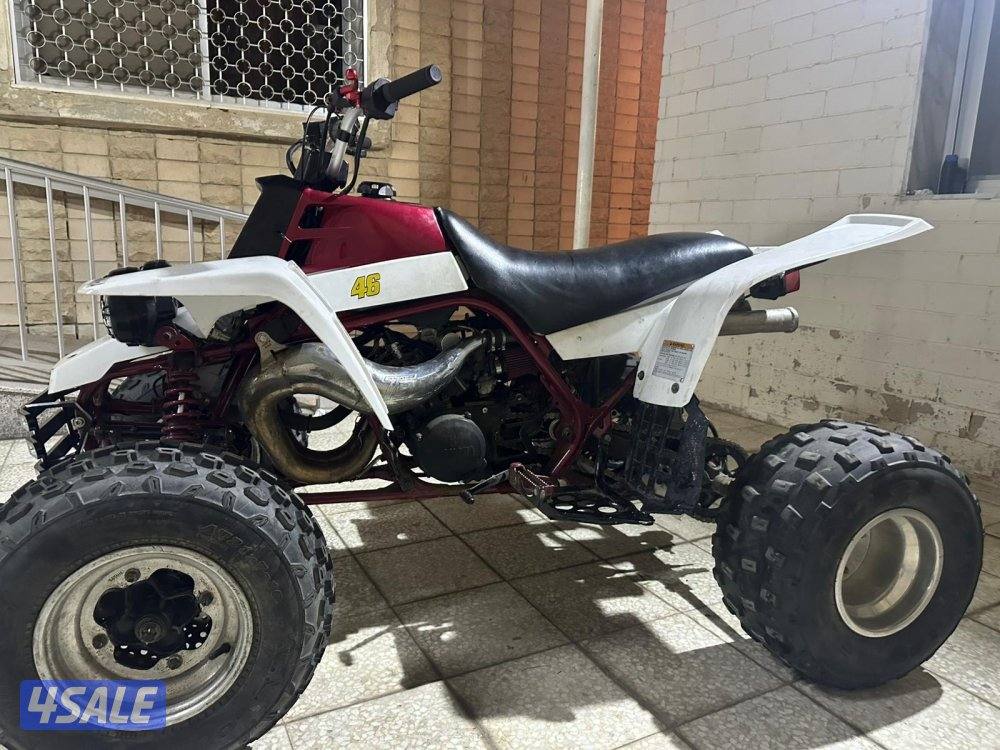 للبيع بانشي ٢٠٠٤1