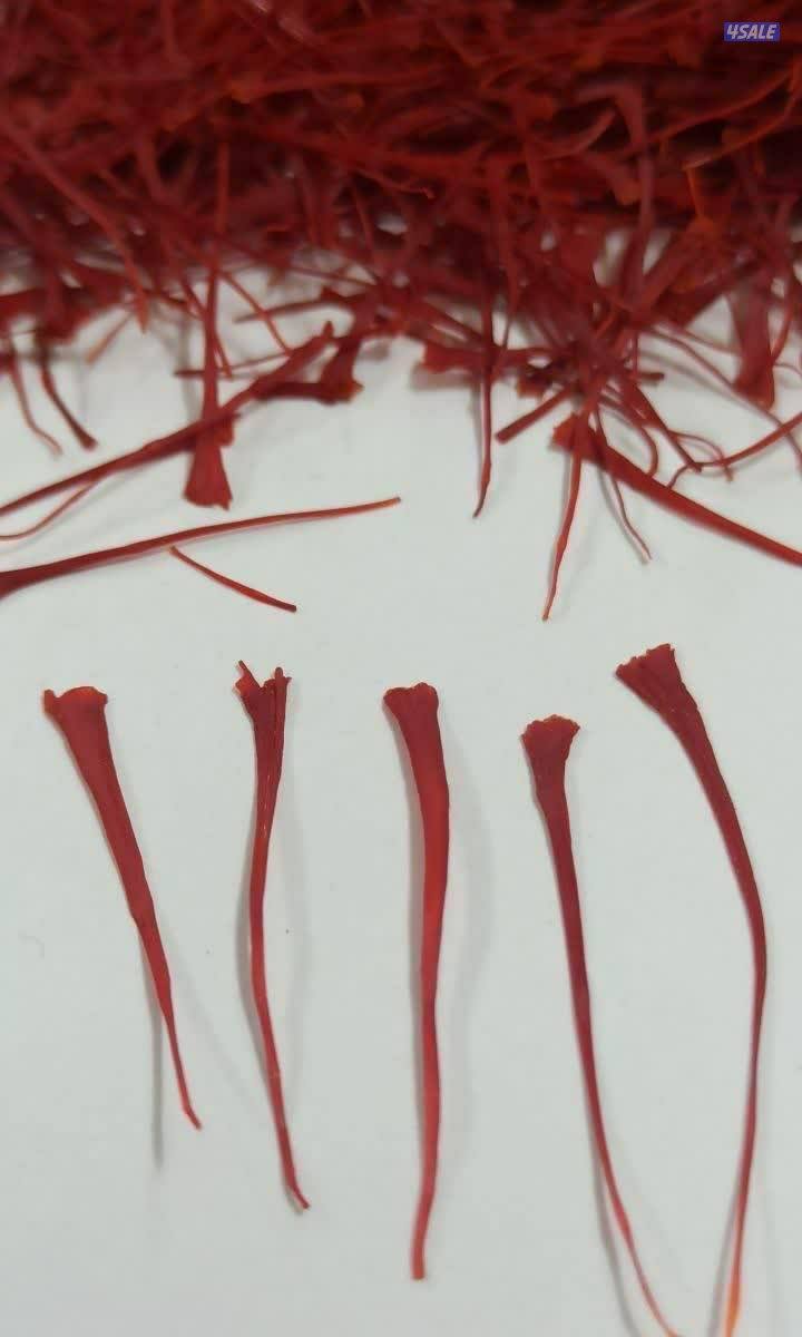 زعفران للبيع2