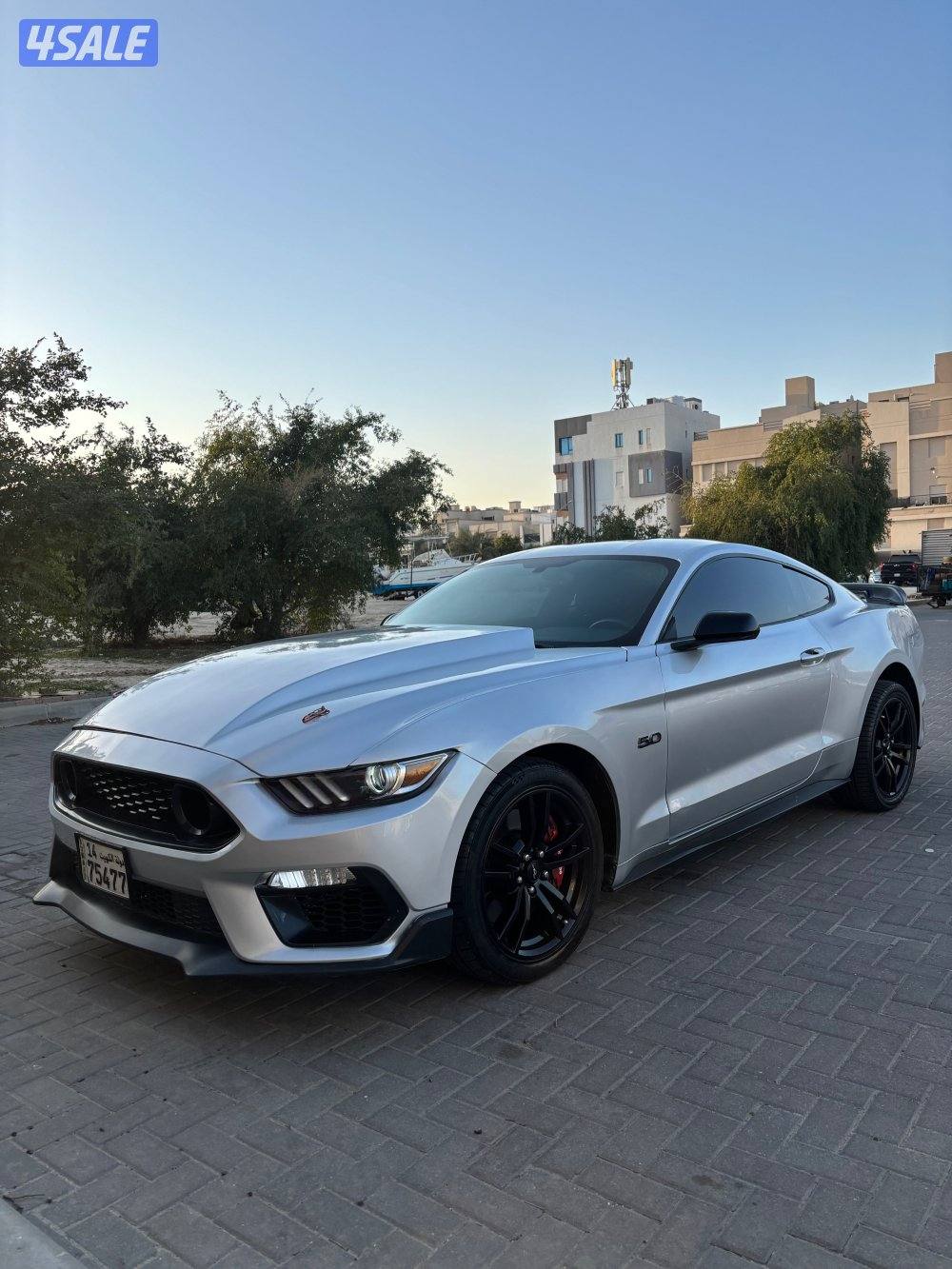 موستنق قير عادي 5.00