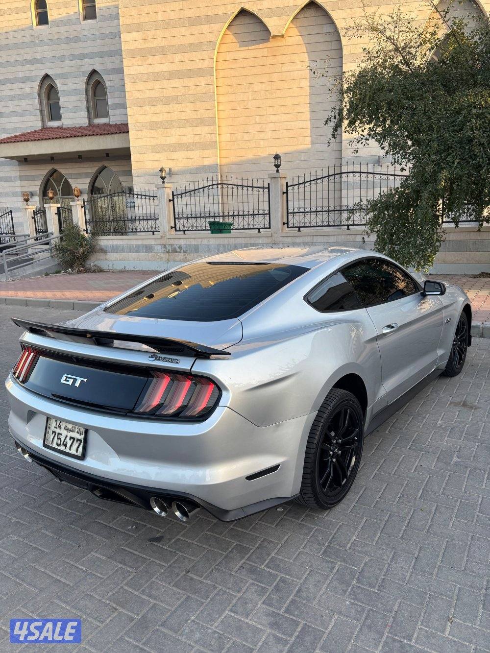 موستنق قير عادي 5.03