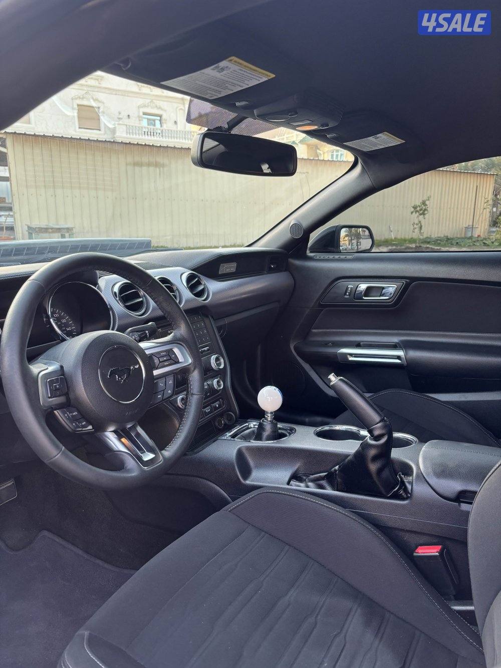 موستنق قير عادي 5.04