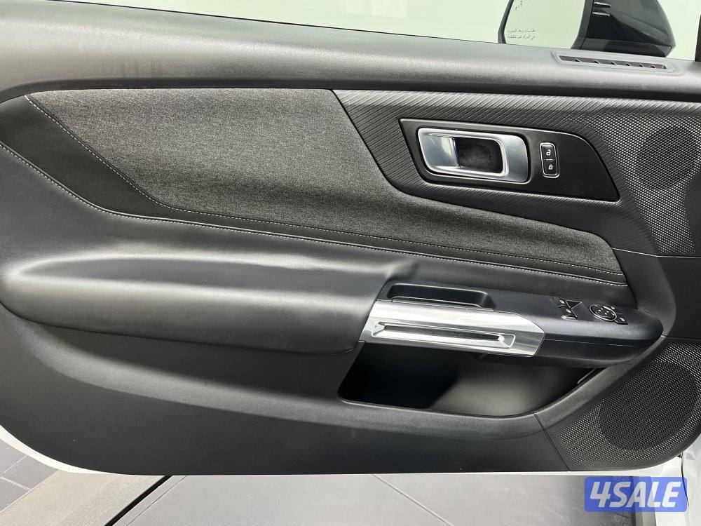 FORD MUSTANG FORD FORD MUSTANG 202510