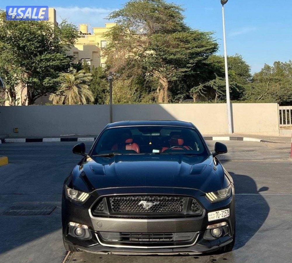 موستنق 2015 / 5.02