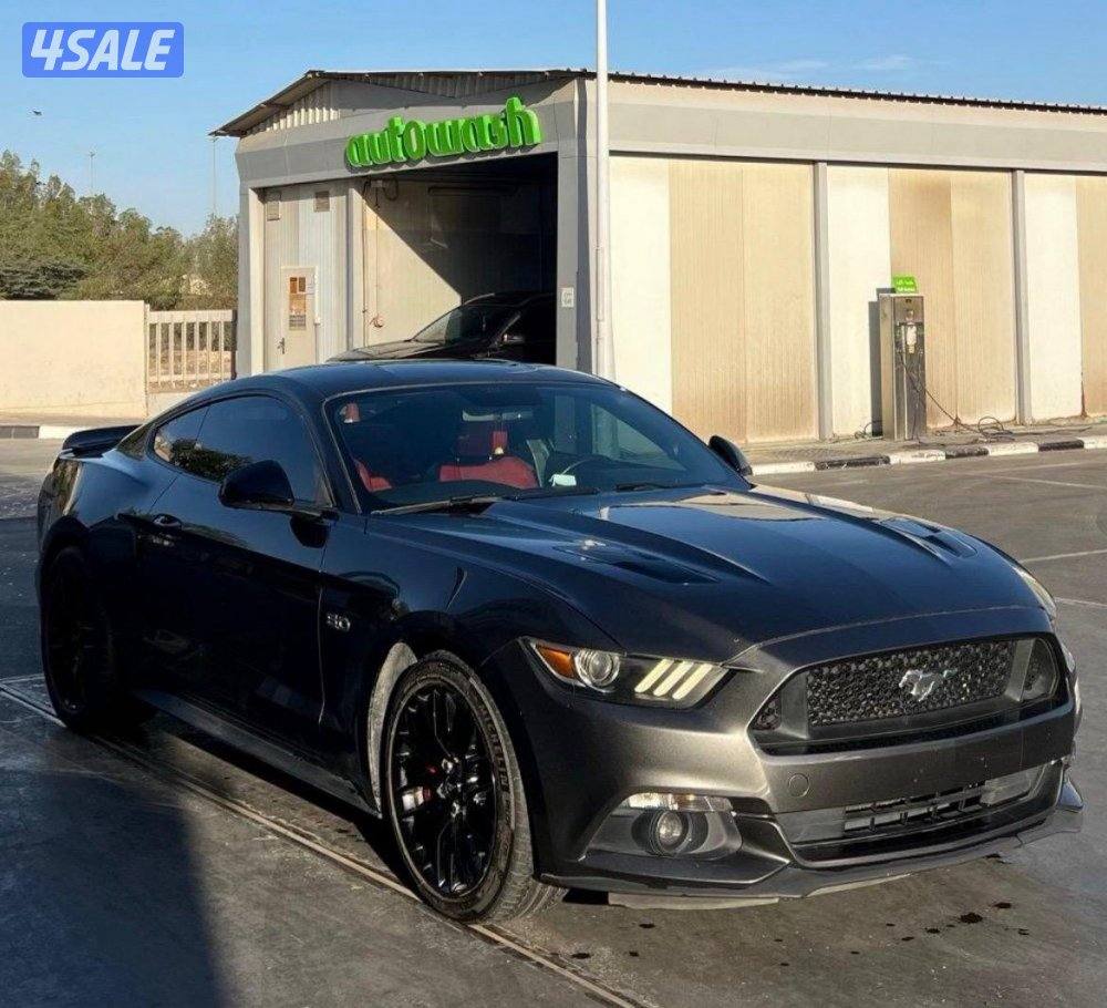 موستنق 2015 / 5.03