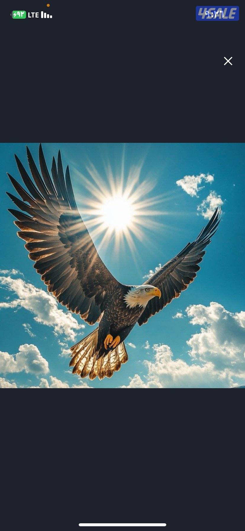 ابحث عن عمل0