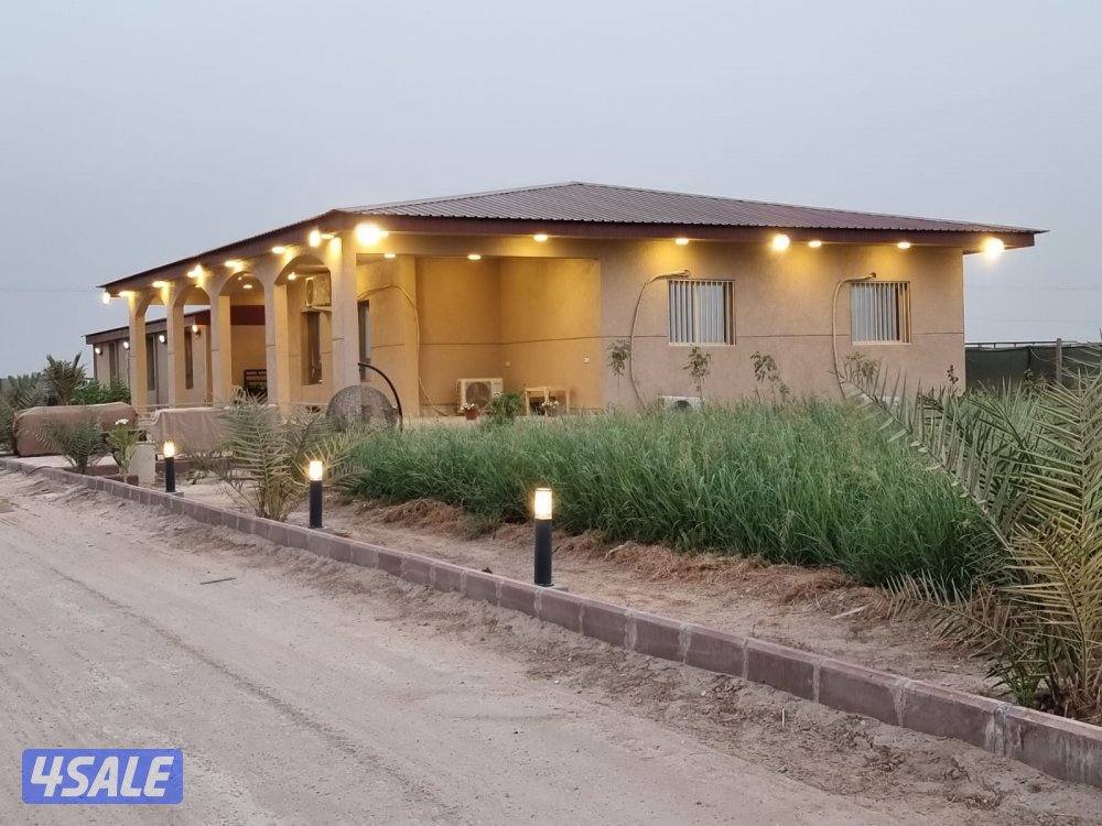 الدرة فارم1