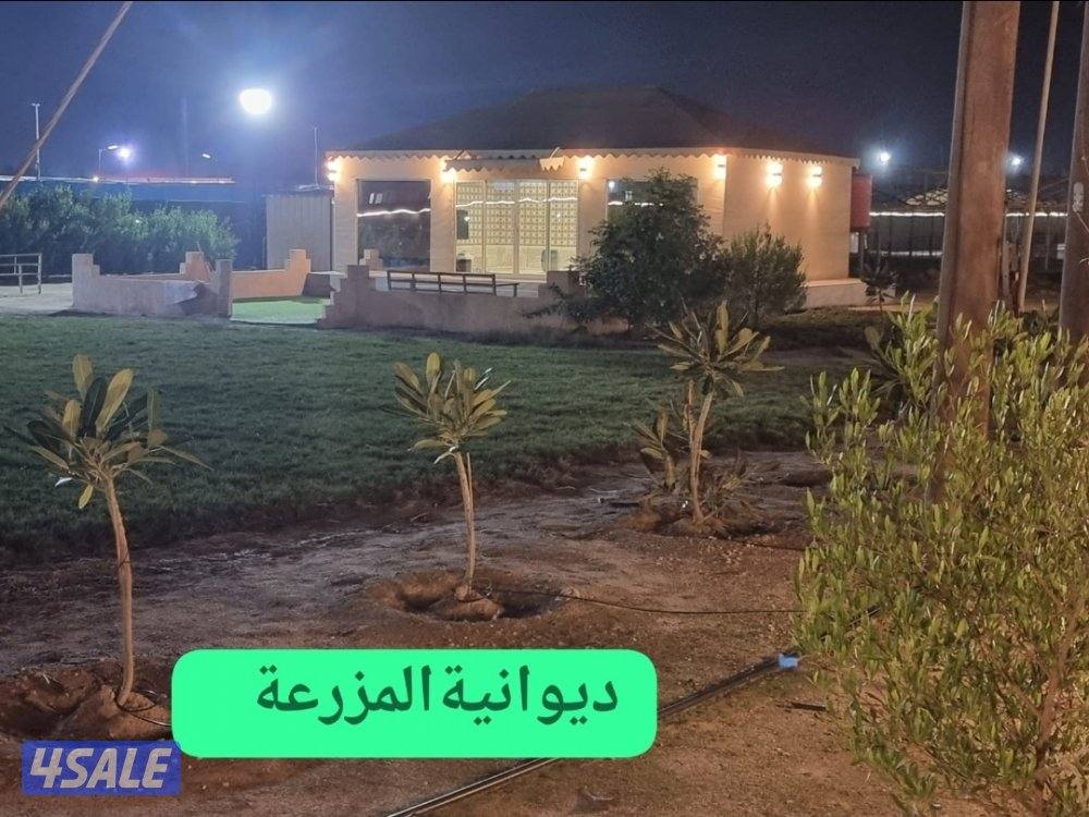 الدرة فارم3